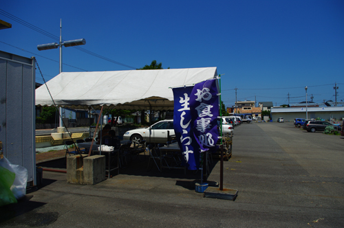 IMGP9266.jpg