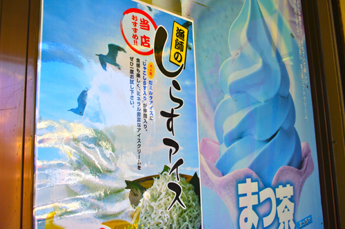 IMGP9328.jpg