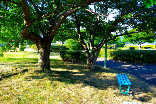 IMGP9330.jpg