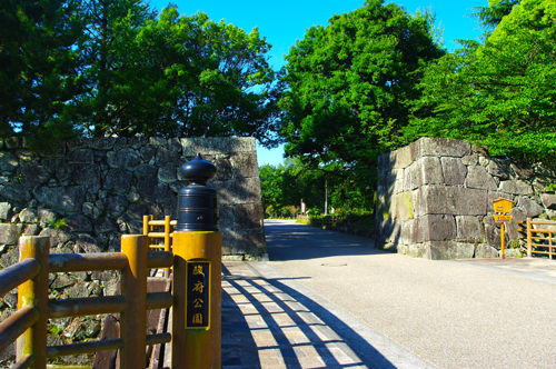 IMGP9341.jpg