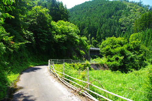 IMGP9394.jpg