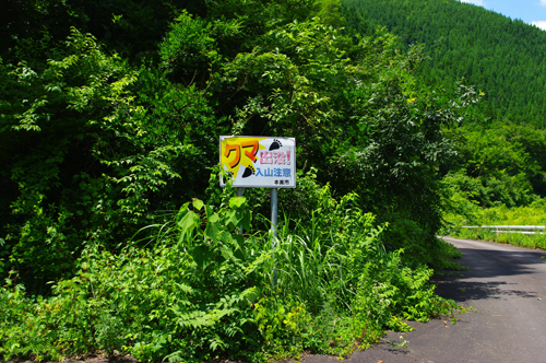 IMGP9405.jpg