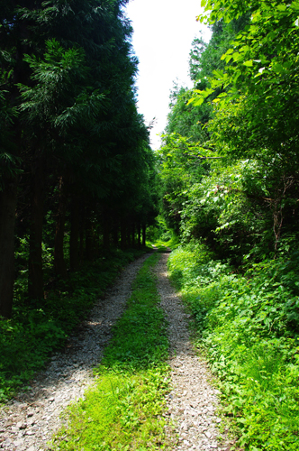 IMGP9410.jpg