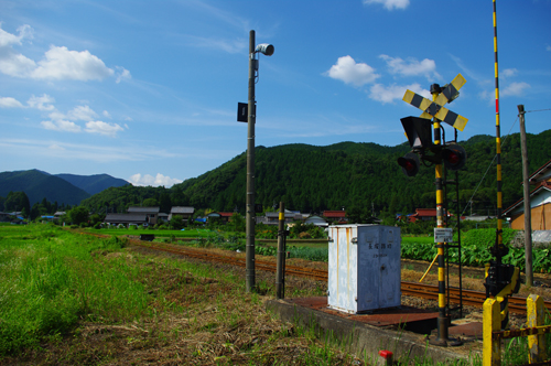 IMGP9427.jpg