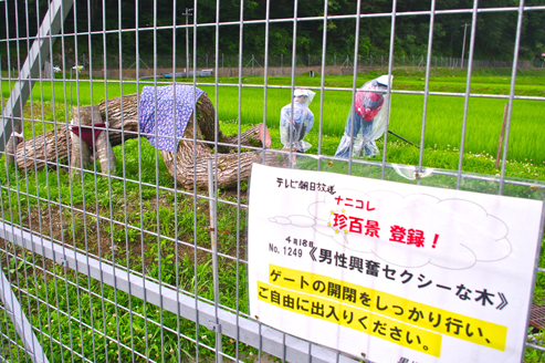 IMGP9428_20120720171546.jpg