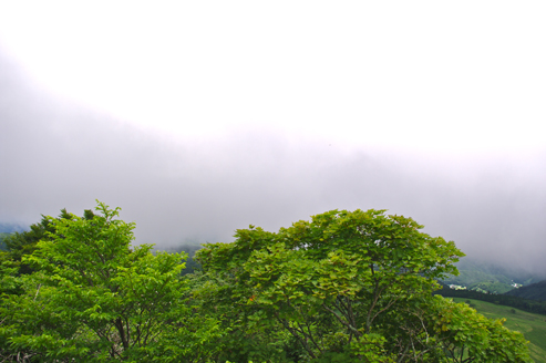 IMGP9456.jpg