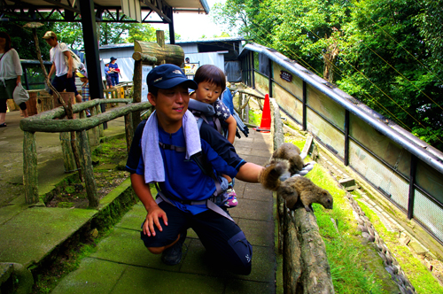IMGP9480.jpg