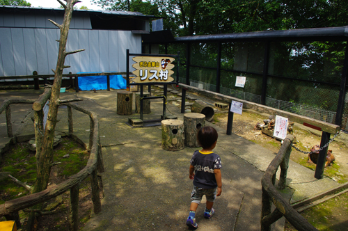 IMGP9485.jpg