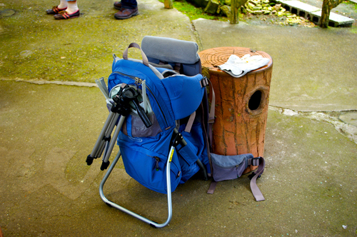 IMGP9500.jpg