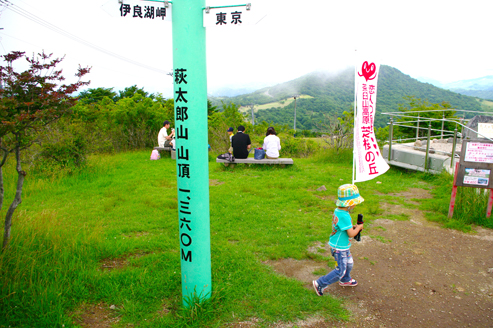 IMGP9521.jpg