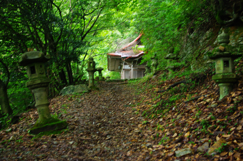IMGP9587.jpg
