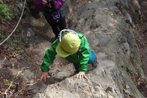 IMGP9587_20131125150648fd3.jpg