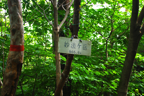 IMGP9593.jpg