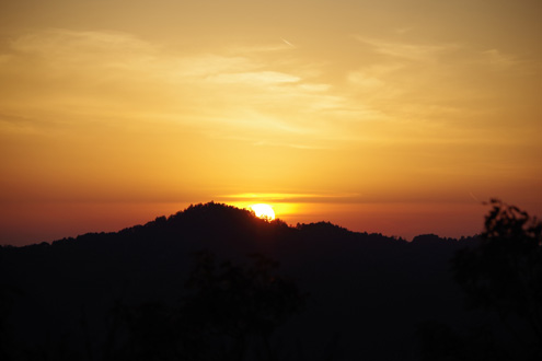IMGP9699.jpg