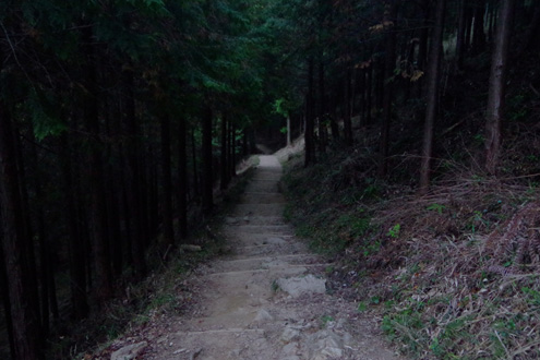 IMGP9705.jpg