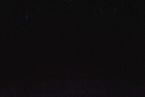 IMGP9709.jpg