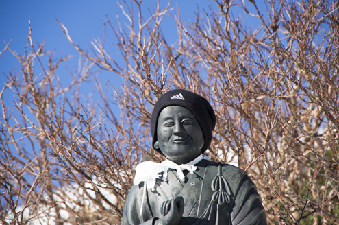IMGP9741.jpg