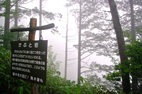 IMGP9787.jpg