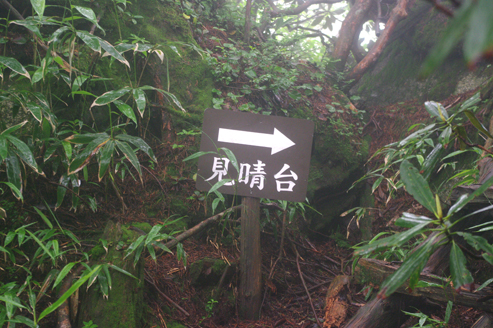 IMGP9818.jpg