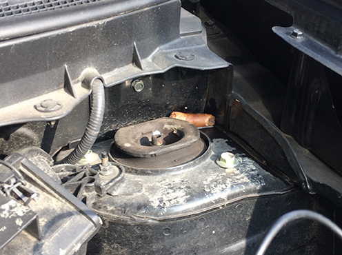 IMG_2116.jpg
