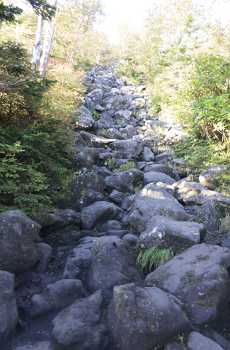IMG_2295_201410061510254ca.jpg