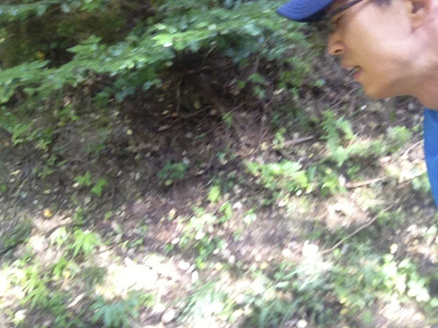IMG_2797_20130930164854b20.jpg
