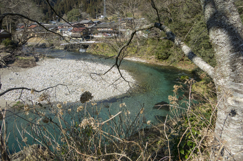 IMG_3161.jpg