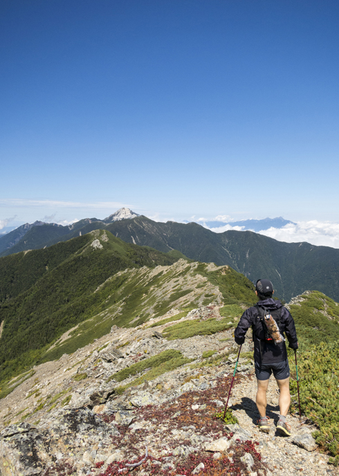 IMG_3341.jpg