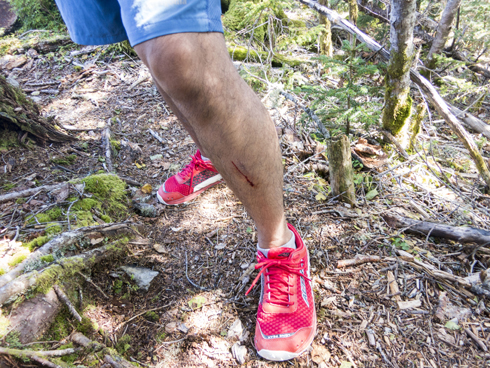 IMG_3379.jpg