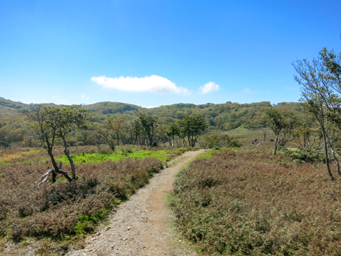 IMG_3477.jpg