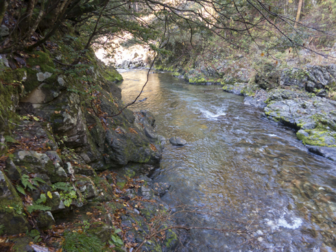 IMG_3590.jpg