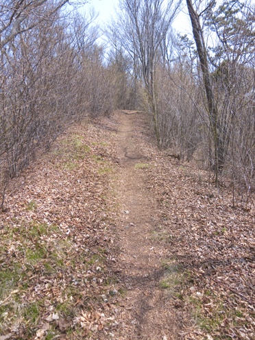 IMG_3930.jpg