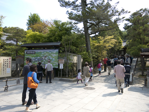 IMG_4229_1.jpg