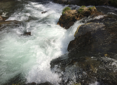 IMG_4470_20140609152055114.jpg