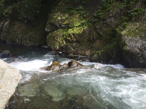 IMG_4488.jpg
