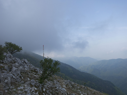 IMG_4492.jpg