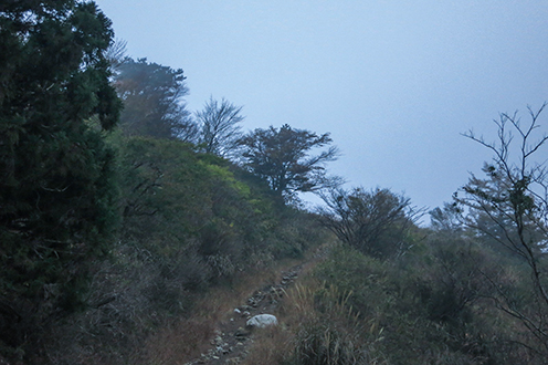 IMG_6054.jpg