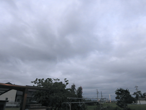 IMG_6764.jpg