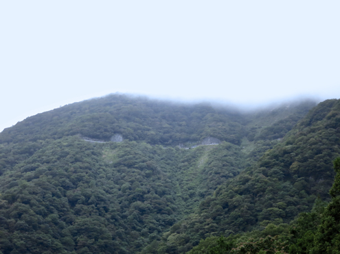 IMG_6771.jpg