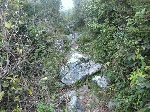 IMG_6869.jpg