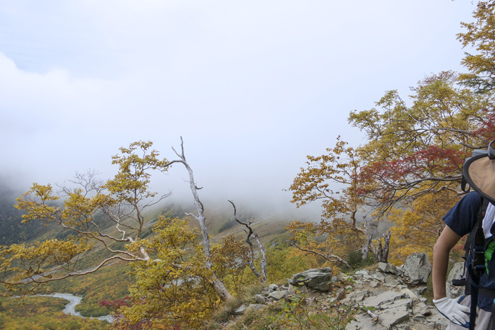 IMG_6990.jpg
