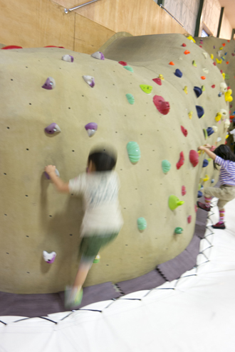 IMG_7243_20131106143137e20.jpg