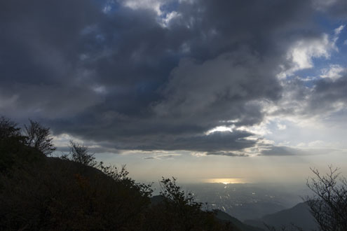 IMG_9478.jpg