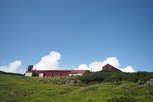 P8070291.jpg