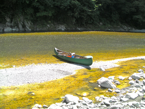 SANY0015.jpg