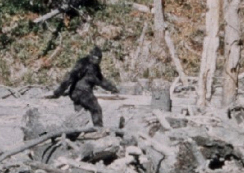 bigfoot.jpg