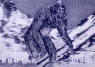 img842.jpg