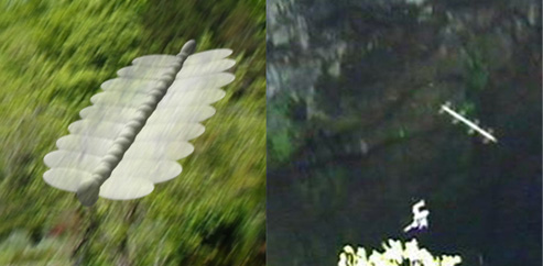 skyfish_cg.jpg